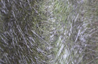 Merkinch fibreglass roof work